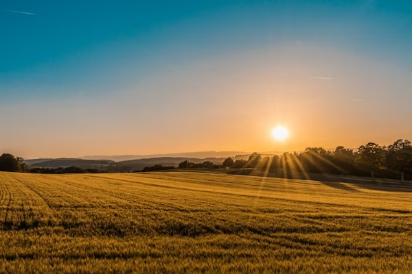 Prairie sunset landscape